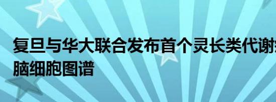 复旦与华大联合发布首个灵长类代谢疾病下丘脑细胞图谱