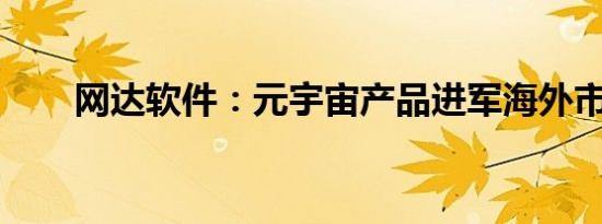 网达软件：元宇宙产品进军海外市场