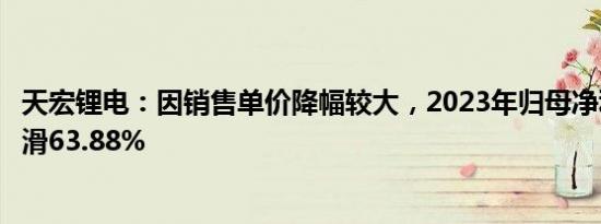 天宏锂电：因销售单价降幅较大，2023年归母净利润同比下滑63.88%