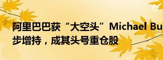 阿里巴巴获“大空头”Michael Burry进一步增持，成其头号重仓股