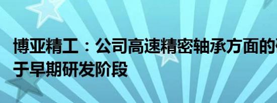 博亚精工：公司高速精密轴承方面的研究尚处于早期研发阶段