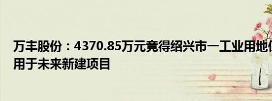 万丰股份：4370.85万元竞得绍兴市一工业用地使用权，拟用于未来新建项目