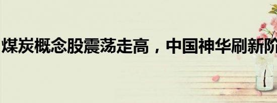 煤炭概念股震荡走高，中国神华刷新阶段新高