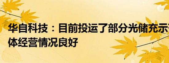 华自科技：目前投运了部分光储充示范站，整体经营情况良好