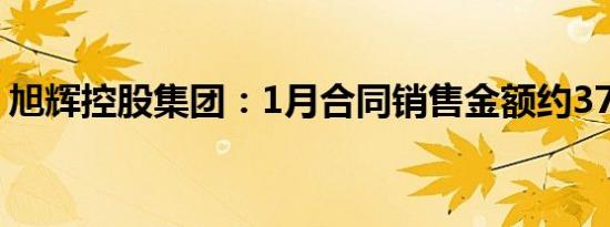 旭辉控股集团：1月合同销售金额约37.2亿元