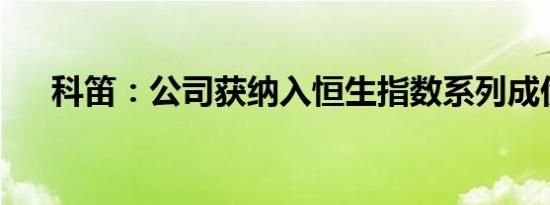 科笛：公司获纳入恒生指数系列成份股