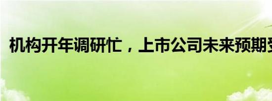 机构开年调研忙，上市公司未来预期受关注