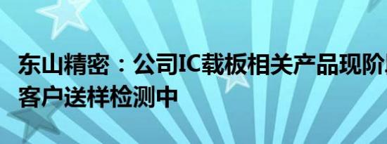 东山精密：公司IC载板相关产品现阶段正处于客户送样检测中