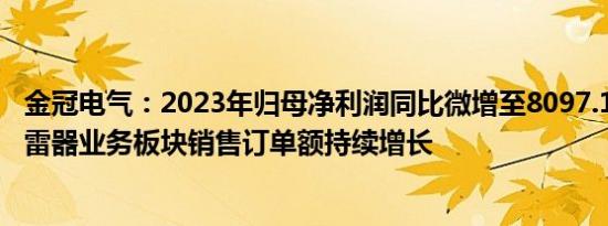 金冠电气：2023年归母净利润同比微增至8097.19万元，避雷器业务板块销售订单额持续增长