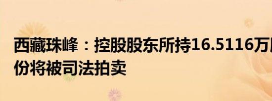 西藏珠峰：控股股东所持16.5116万股公司股份将被司法拍卖