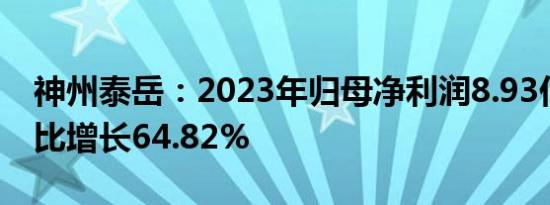 神州泰岳：2023年归母净利润8.93亿元，同比增长64.82%