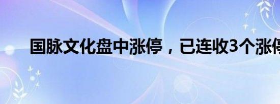 国脉文化盘中涨停，已连收3个涨停板