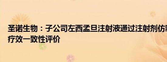 圣诺生物：子公司左西孟旦注射液通过注射剂仿制药质量和疗效一致性评价