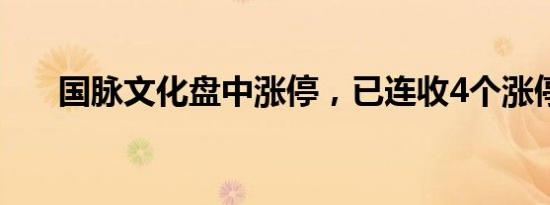 国脉文化盘中涨停，已连收4个涨停板