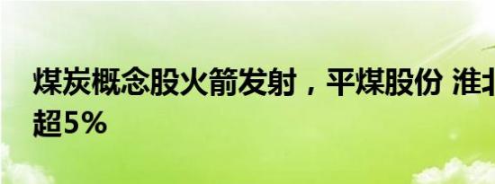 煤炭概念股火箭发射，平煤股份 淮北矿业涨超5%