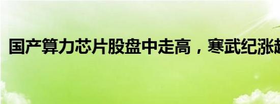 国产算力芯片股盘中走高，寒武纪涨超10%