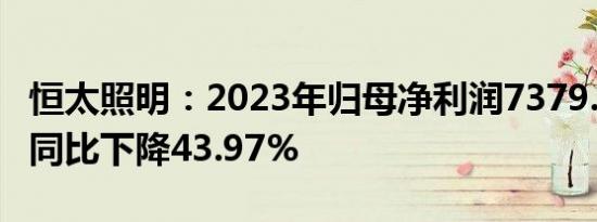 恒太照明：2023年归母净利润7379.39万元，同比下降43.97%