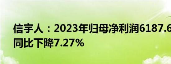 信宇人：2023年归母净利润6187.69万元，同比下降7.27%