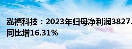 泓禧科技：2023年归母净利润3827.93万元，同比增16.31%