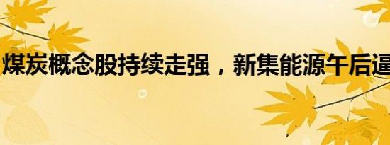 煤炭概念股持续走强，新集能源午后逼近涨停