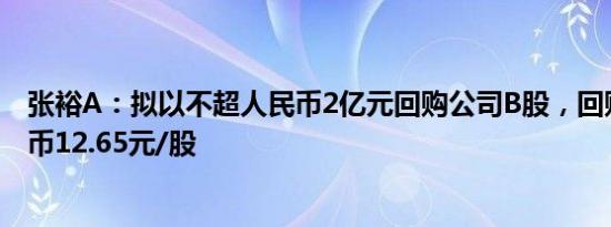 张裕A：拟以不超人民币2亿元回购公司B股，回购价不超港币12.65元/股