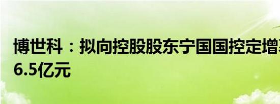 博世科：拟向控股股东宁国国控定增募资不超6.5亿元