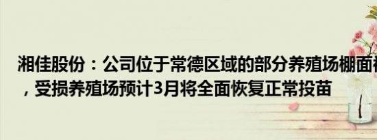 湘佳股份：公司位于常德区域的部分养殖场棚面被积雪压塌，受损养殖场预计3月将全面恢复正常投苗