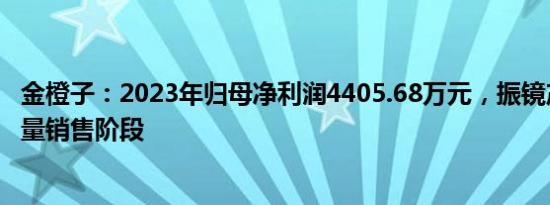 金橙子：2023年归母净利润4405.68万元，振镜产品进入批量销售阶段