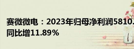 赛微微电：2023年归母净利润5810.36万元，同比增11.89%