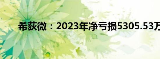 希荻微：2023年净亏损5305.53万元