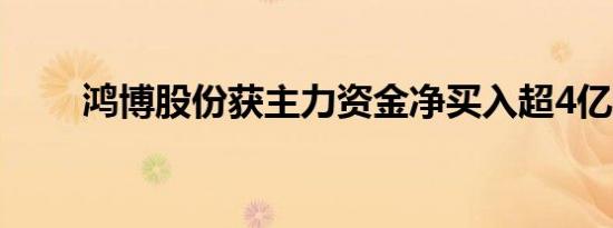 鸿博股份获主力资金净买入超4亿元