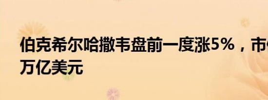 伯克希尔哈撒韦盘前一度涨5%，市值接近1万亿美元