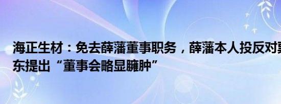 海正生材：免去薛藩董事职务，薛藩本人投反对票，控股股东提出“董事会略显臃肿”