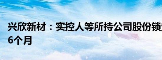 兴欣新材：实控人等所持公司股份锁定期延长6个月