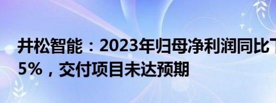 井松智能：2023年归母净利润同比下滑39.85%，交付项目未达预期