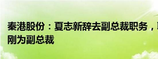 秦港股份：夏志新辞去副总裁职务，聘任孙景刚为副总裁