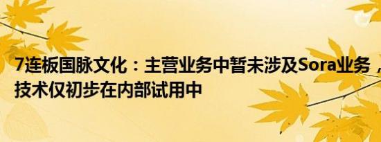 7连板国脉文化：主营业务中暂未涉及Sora业务，AIGC相关技术仅初步在内部试用中