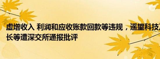 虚增收入 利润和应收账款回款等违规，遥望科技及时任董事长等遭深交所通报批评