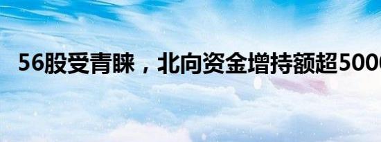 56股受青睐，北向资金增持额超5000万元