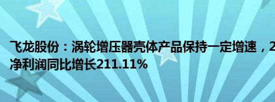 飞龙股份：涡轮增压器壳体产品保持一定增速，2023年归母净利润同比增长211.11%