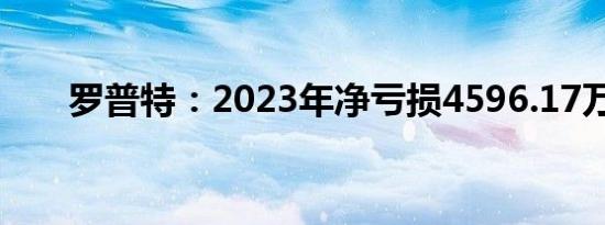 罗普特：2023年净亏损4596.17万元