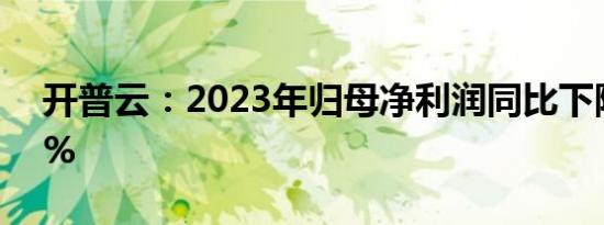 开普云：2023年归母净利润同比下降56.51%