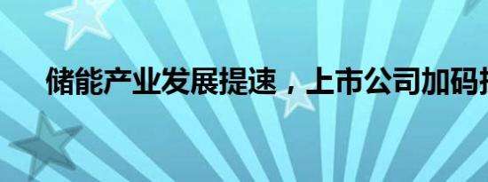 储能产业发展提速，上市公司加码投资