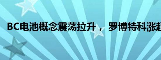 BC电池概念震荡拉升， 罗博特科涨超15%