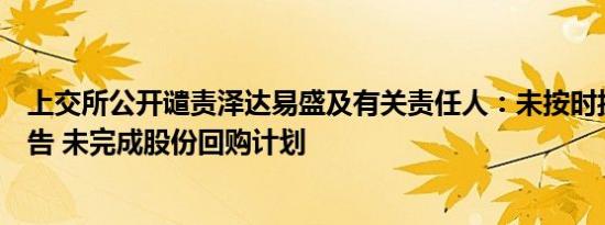 上交所公开谴责泽达易盛及有关责任人：未按时披露定期报告 未完成股份回购计划