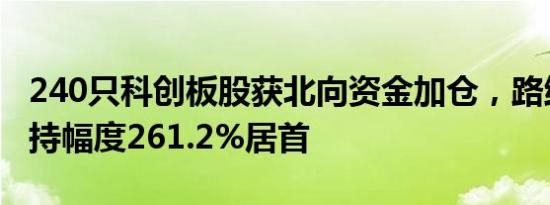 240只科创板股获北向资金加仓，路维光电增持幅度261.2%居首