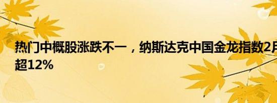 热门中概股涨跌不一，纳斯达克中国金龙指数2月份累计涨超12%