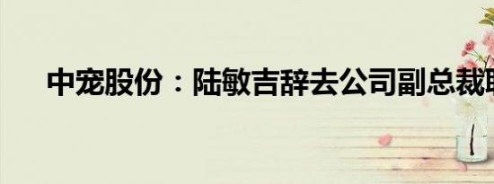 中宠股份：陆敏吉辞去公司副总裁职务