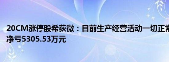 20CM涨停股希荻微：目前生产经营活动一切正常，2023年净亏5305.53万元