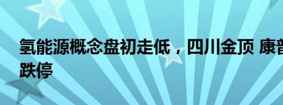 氢能源概念盘初走低，四川金顶 康普顿双双跌停